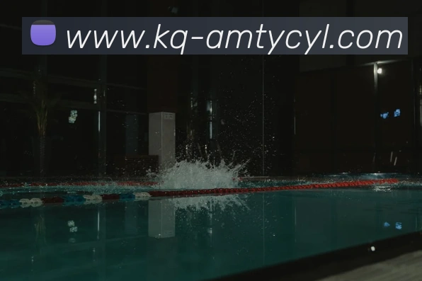 澳门太阳城网站平台生态图